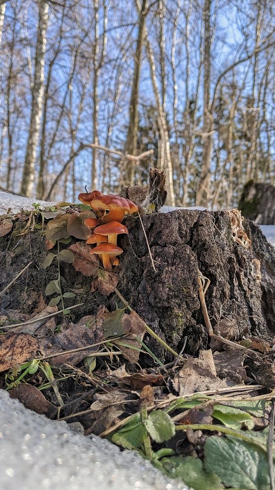 Photograph by Ирина Багдасарова