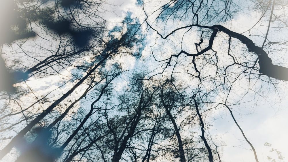 Photograph by Ирина Багдасарова