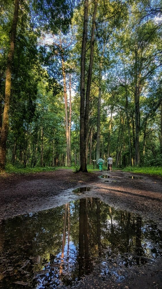 Photograph by Ирина Багдасарова