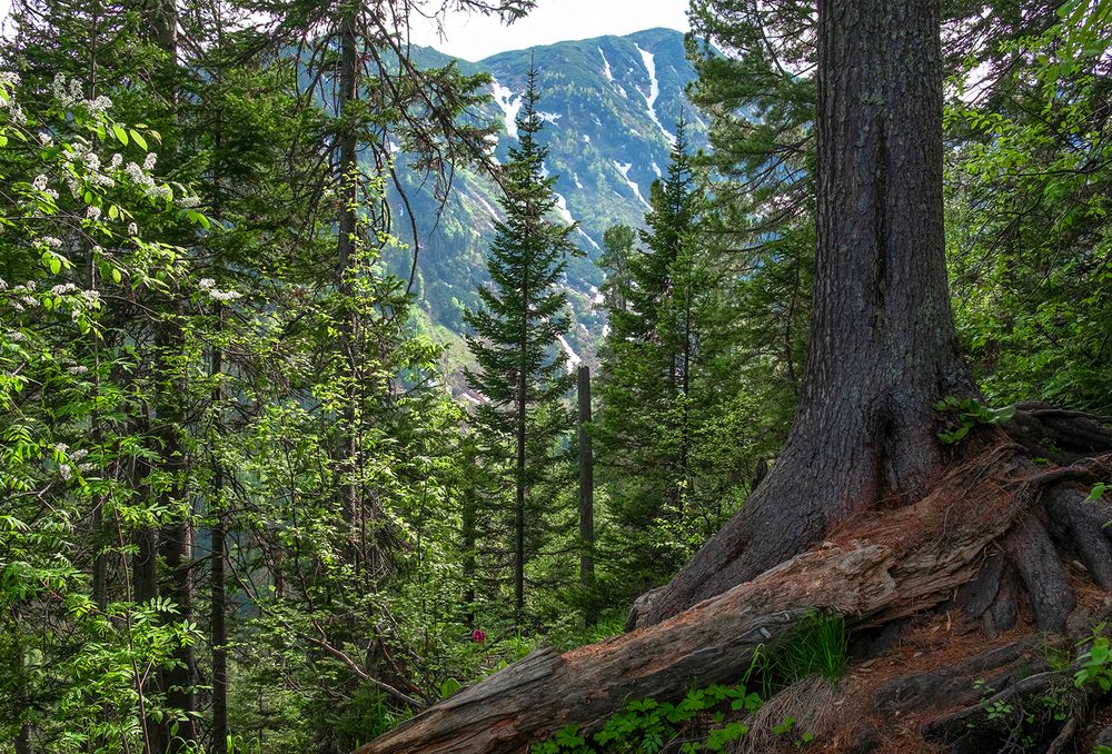 Фотография автора Госпадарёв Александр