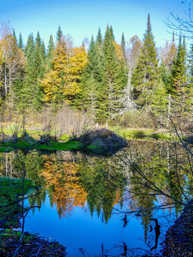 Photograph by Annie Trudel