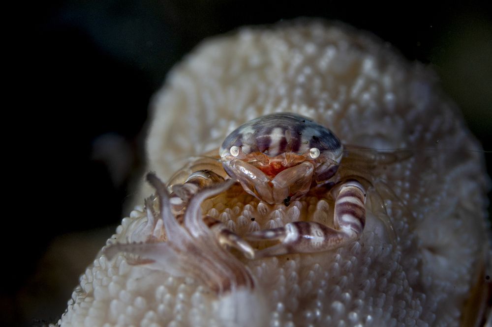 Photograph by Ceci Ver