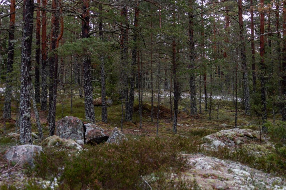 Photograph by Евгений Фонин