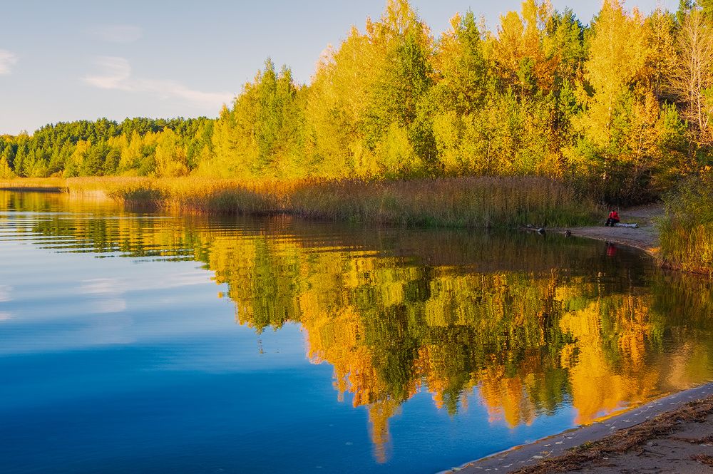 Фотография автора Наталья Липовская