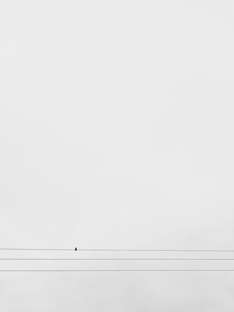 Photograph by Grigorijs Beskins