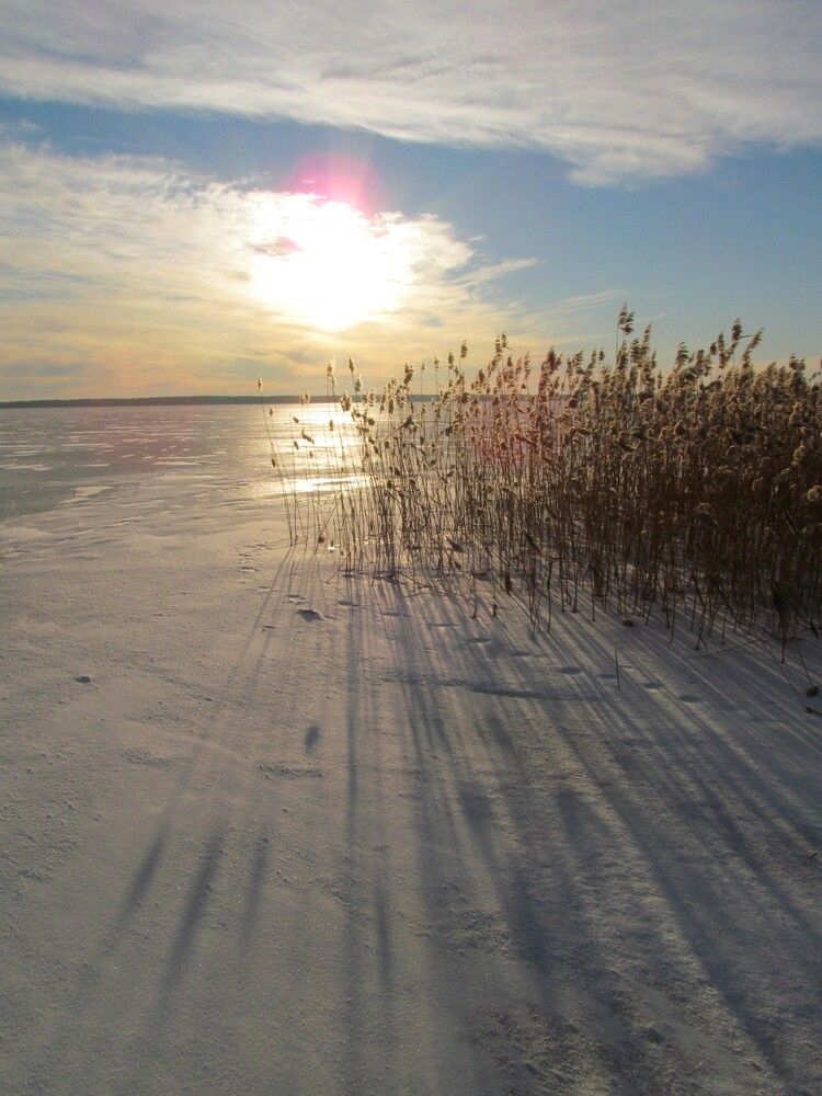Photograph by Николай