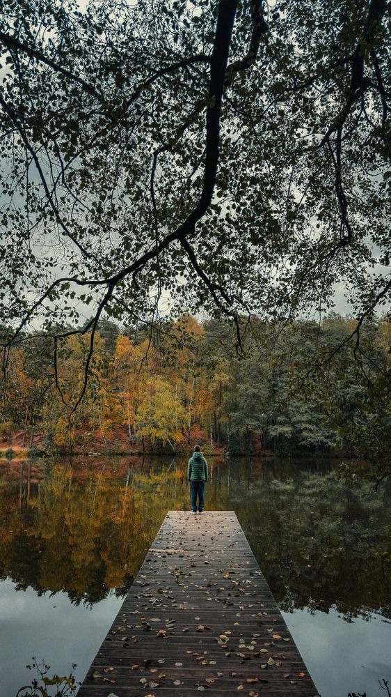 Фотография автора Светлана Соловьева