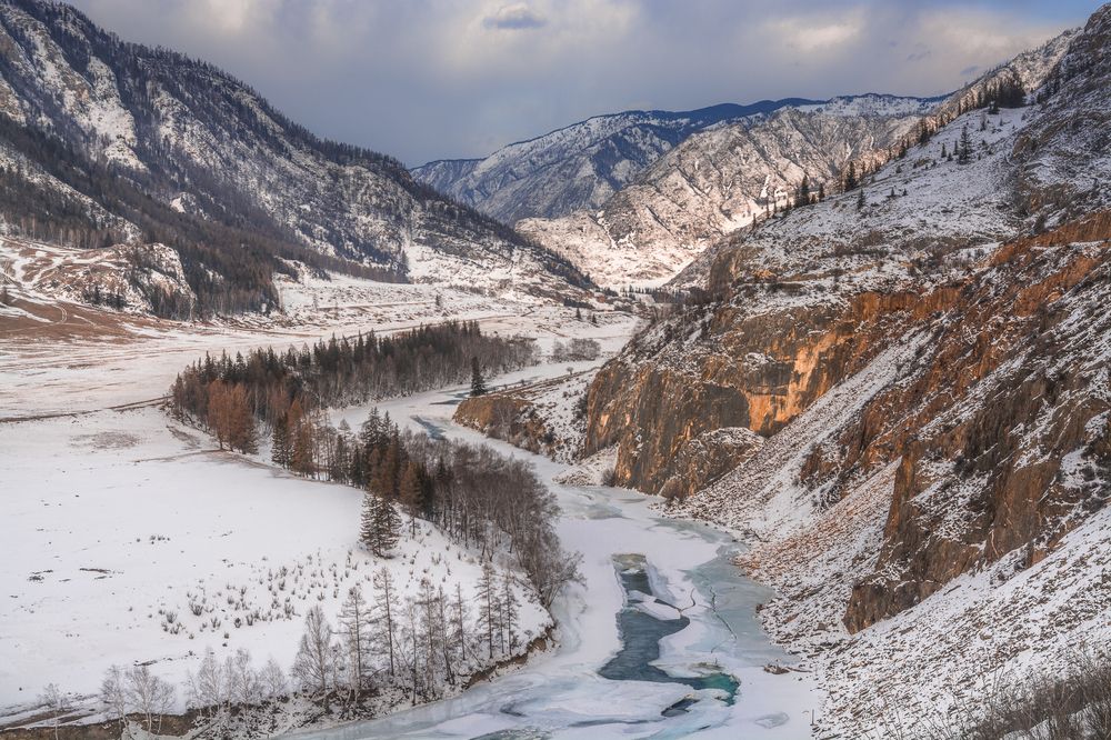 У Белого бома