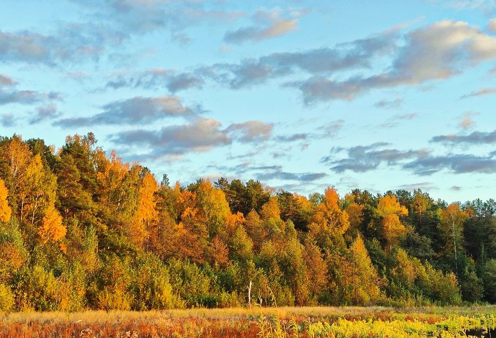 Photograph by Ольга Дерябина