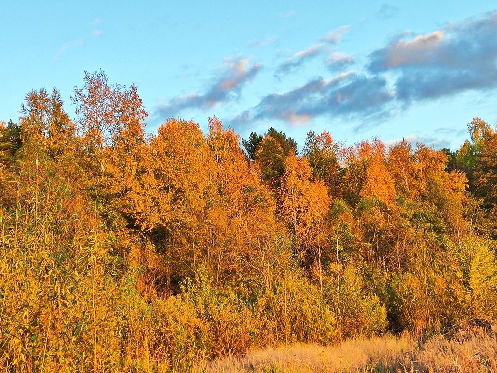 Photograph by Ольга Дерябина