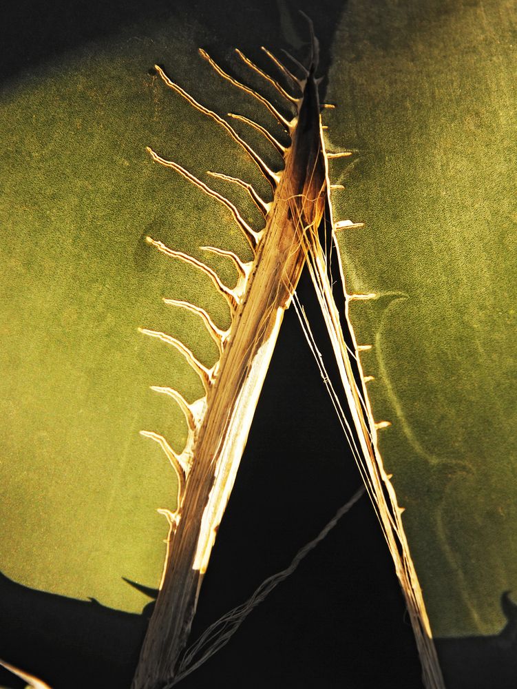 Photograph by Денис Воронин