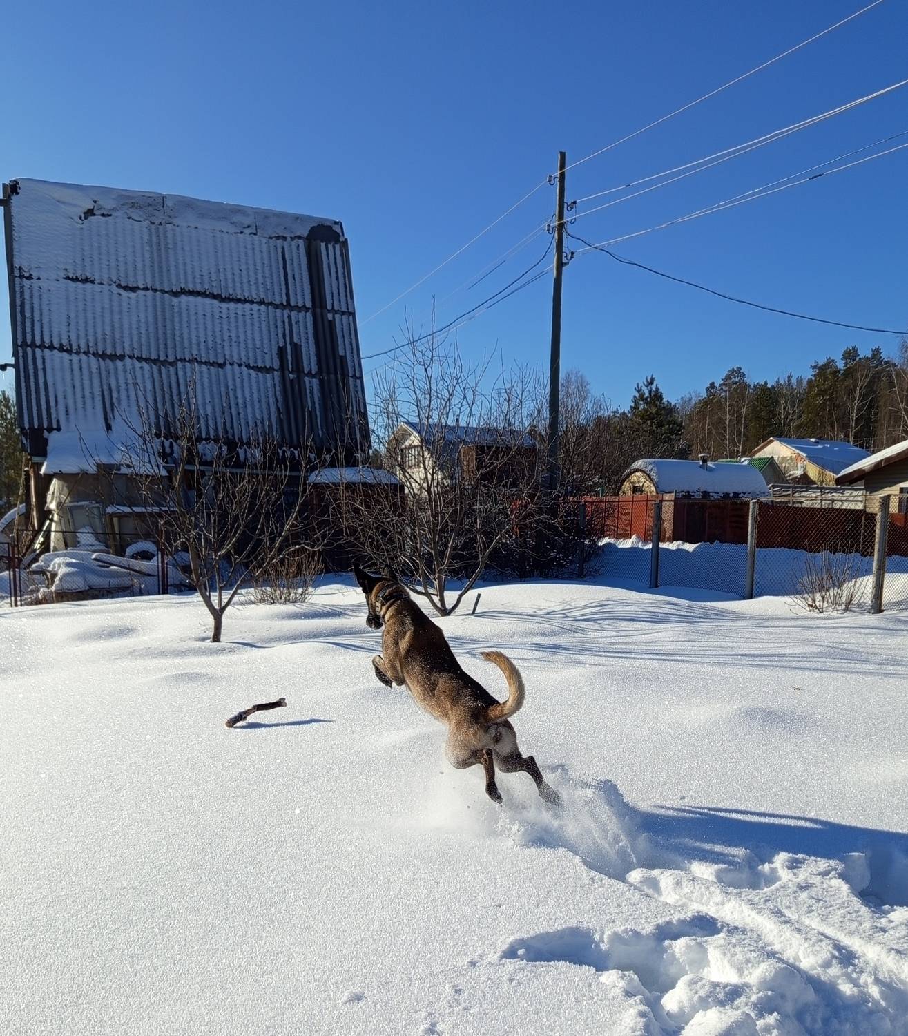 Photo #11831686