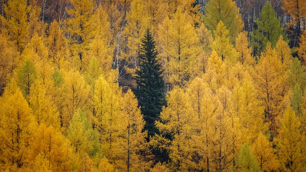 Photograph by Владимир Васильевич