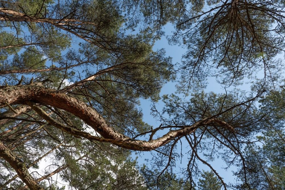 Photograph by Татьяна