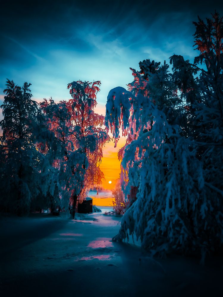 Photograph by Valentin Kolinko