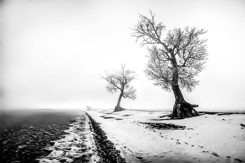 Photograph by Борис Абрамов