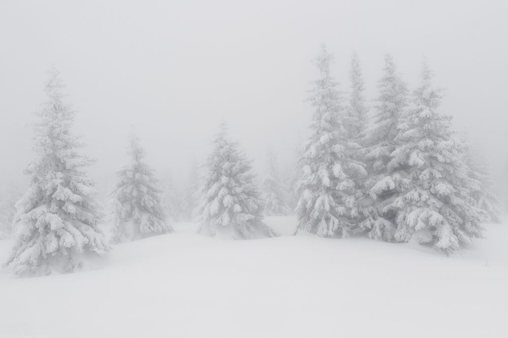 Photograph by Толстоноженко Илья