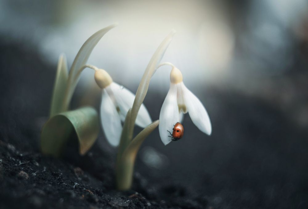 Photograph by Лапшина Владлена