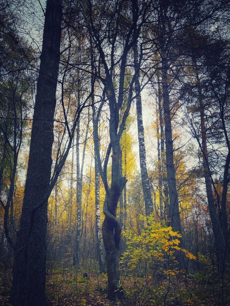 Photograph by Елена Спиридонова