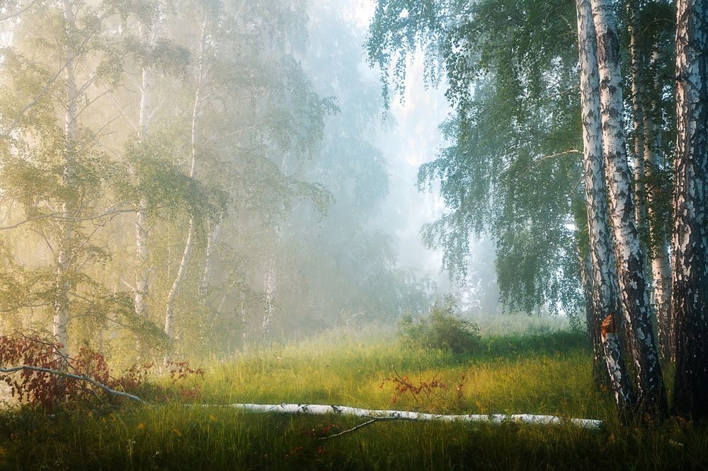 Photograph by Толстоноженко Илья