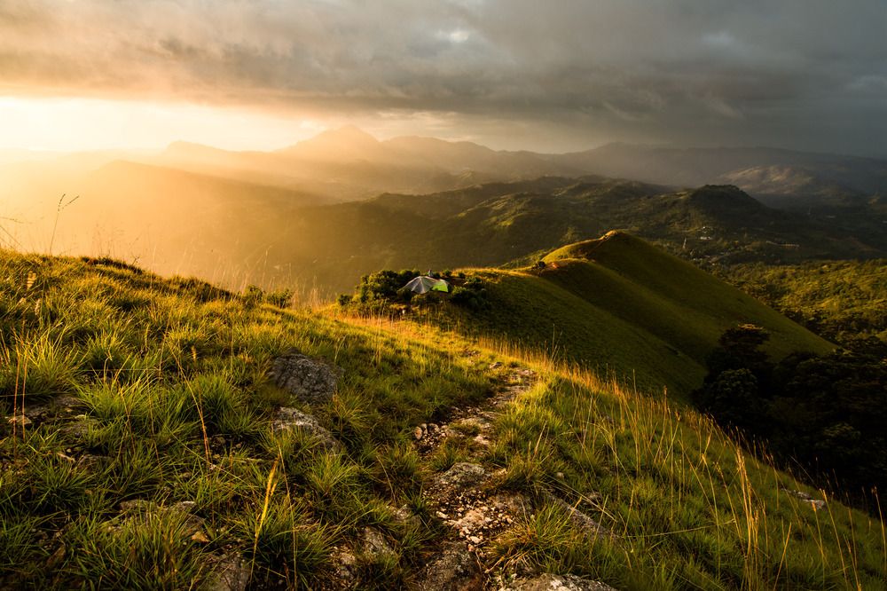 Фотография автора Amith Anuradha