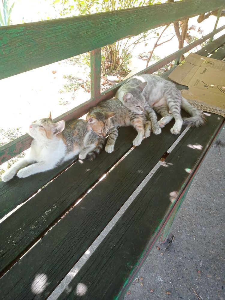 Photo #11831805