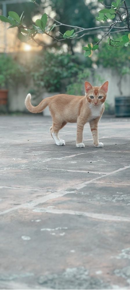 Photo #11831815