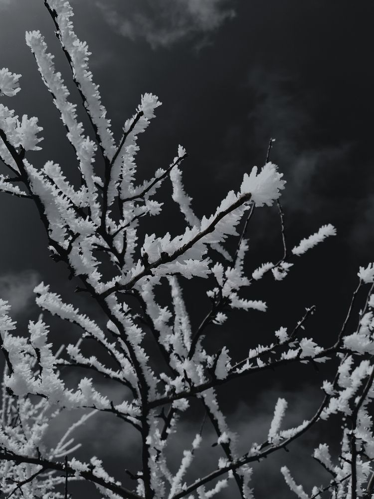 Photograph by Светлана Мозговая