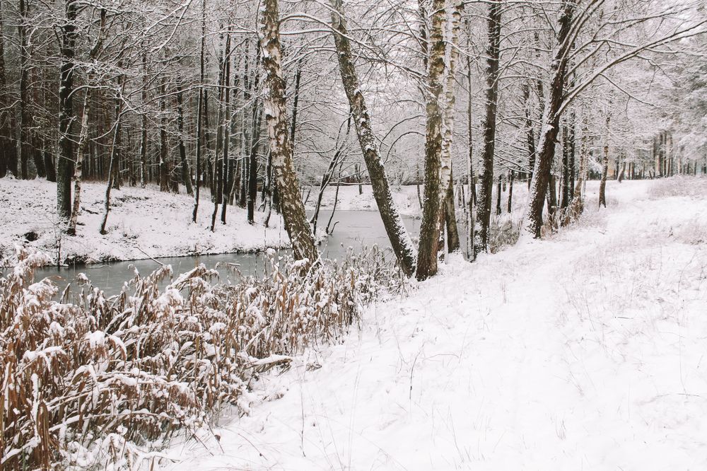 Photograph by Катрина Покумейко