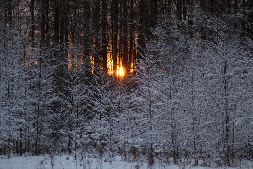 Photograph by Елена Наленч