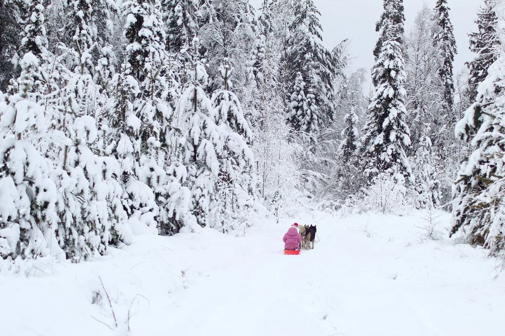 Photograph by Елена Наленч