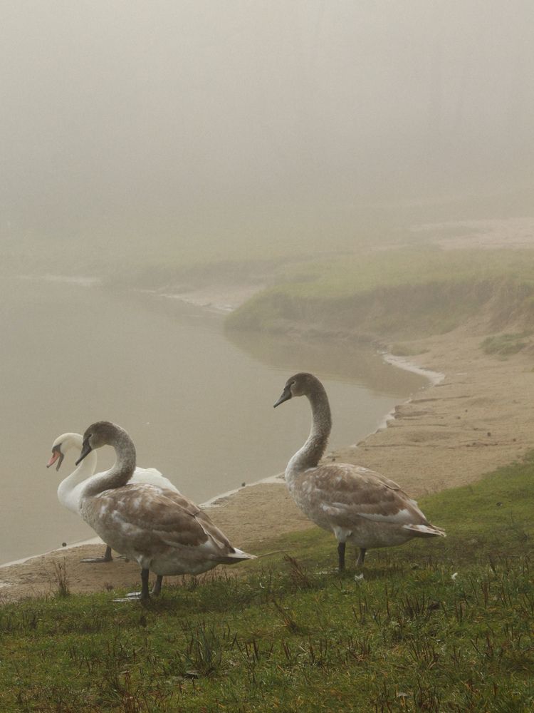 Photograph by Катрина Покумейко