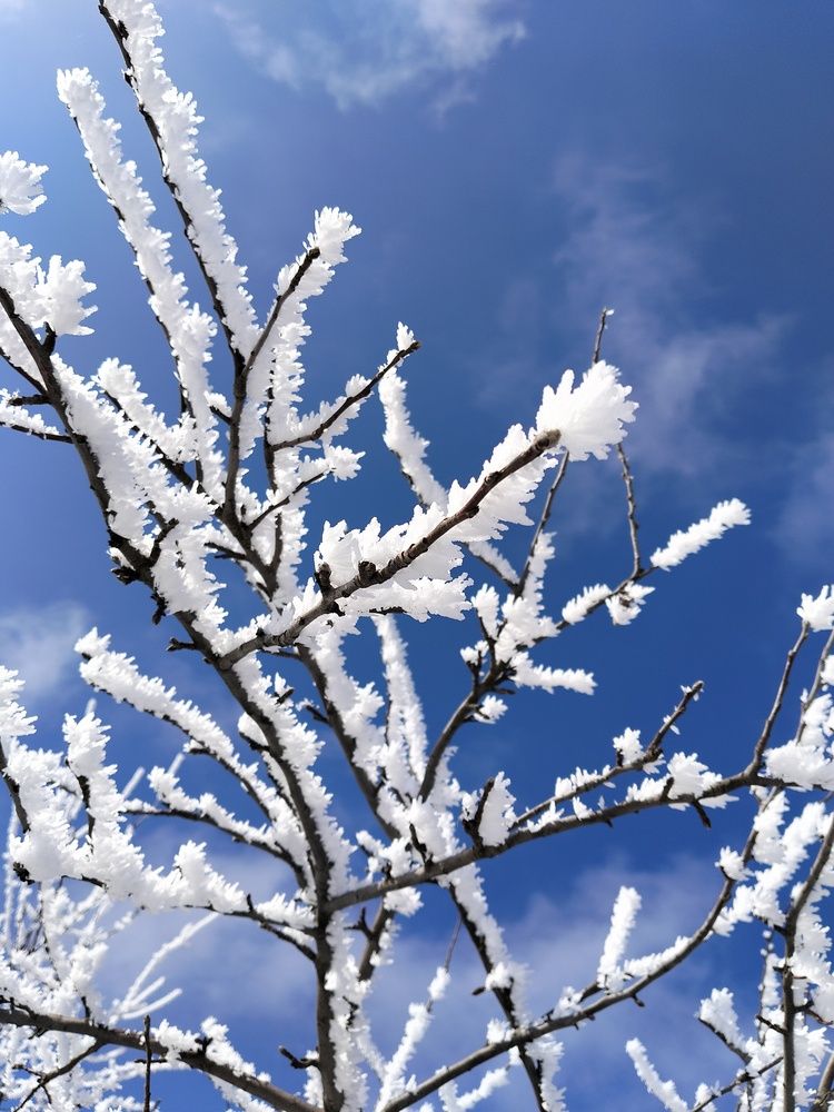 Photograph by Светлана Мозговая