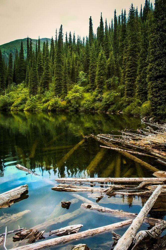 Photograph by Айсултан Каражигитов