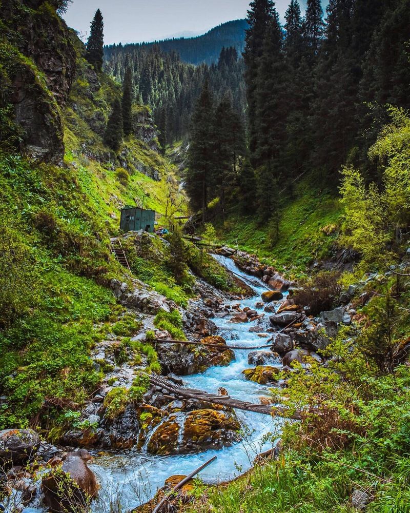 Photograph by Айсултан Каражигитов