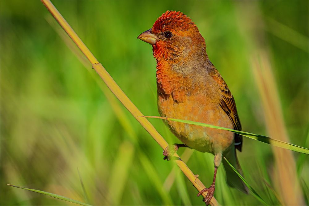 Photograph by Вячеслав Ладанов