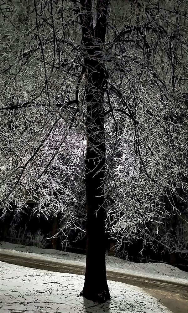 Photograph by Елена Бородулина