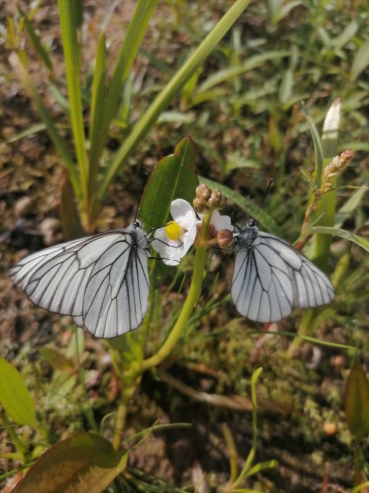 Photograph by Игорь Коцюба