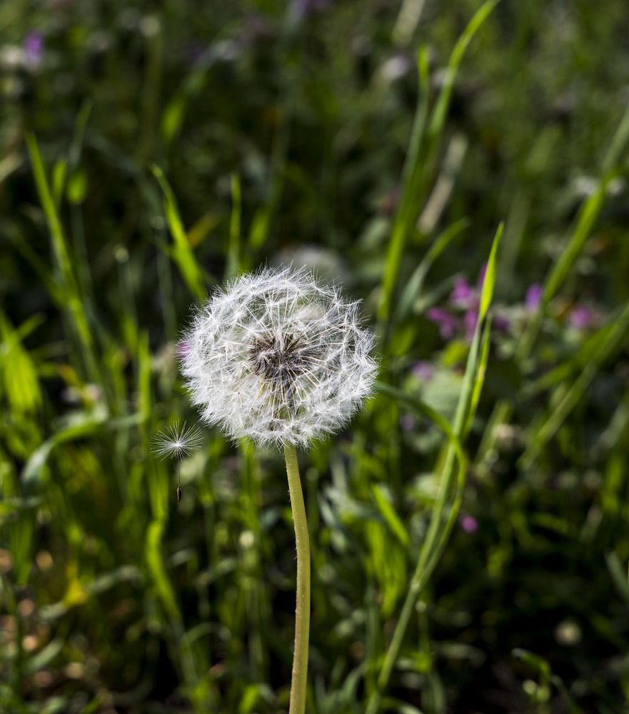 Photograph by Greta Jordanova