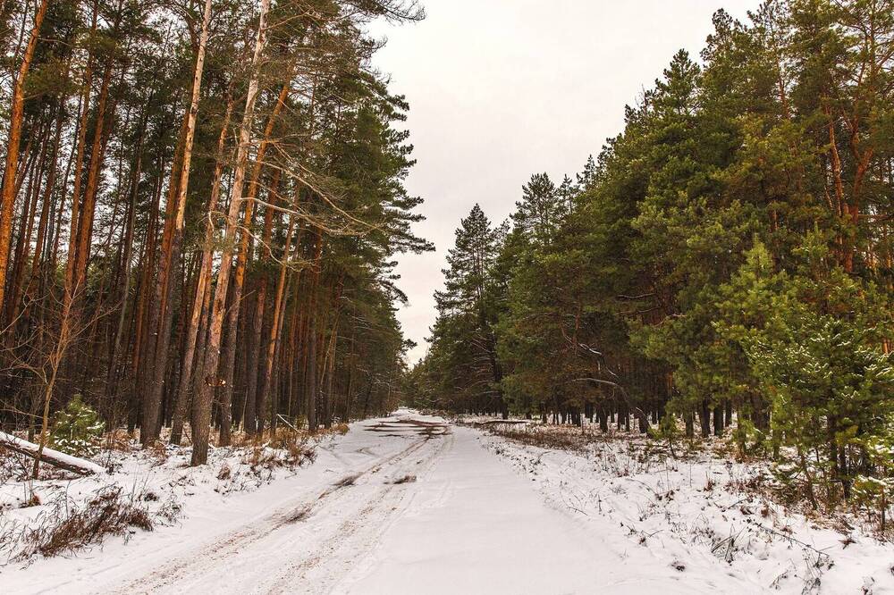 Photograph by Сиваков Алексей