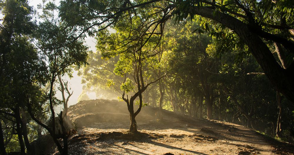 Фотография автора Amith Anuradha