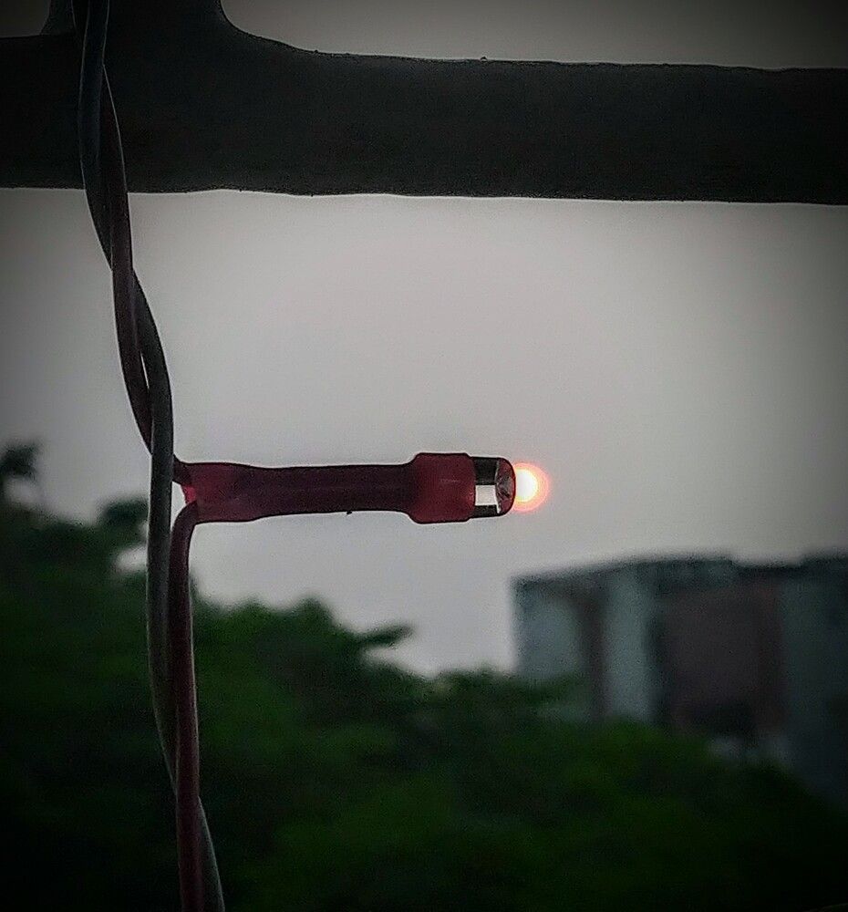 Photograph by Nirup Datta