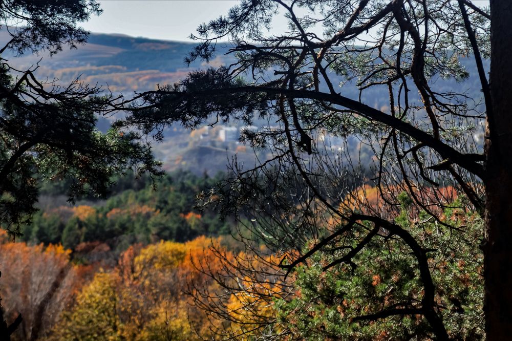 Photograph by Дмитрий Ковшов