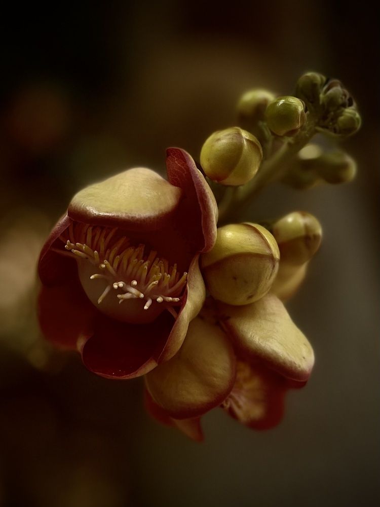 Photograph by Лина Муравьева