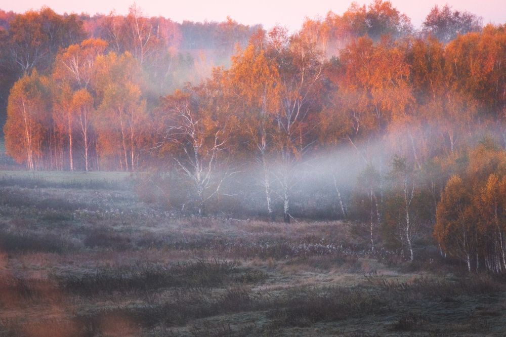 Photograph by Толстоноженко Илья