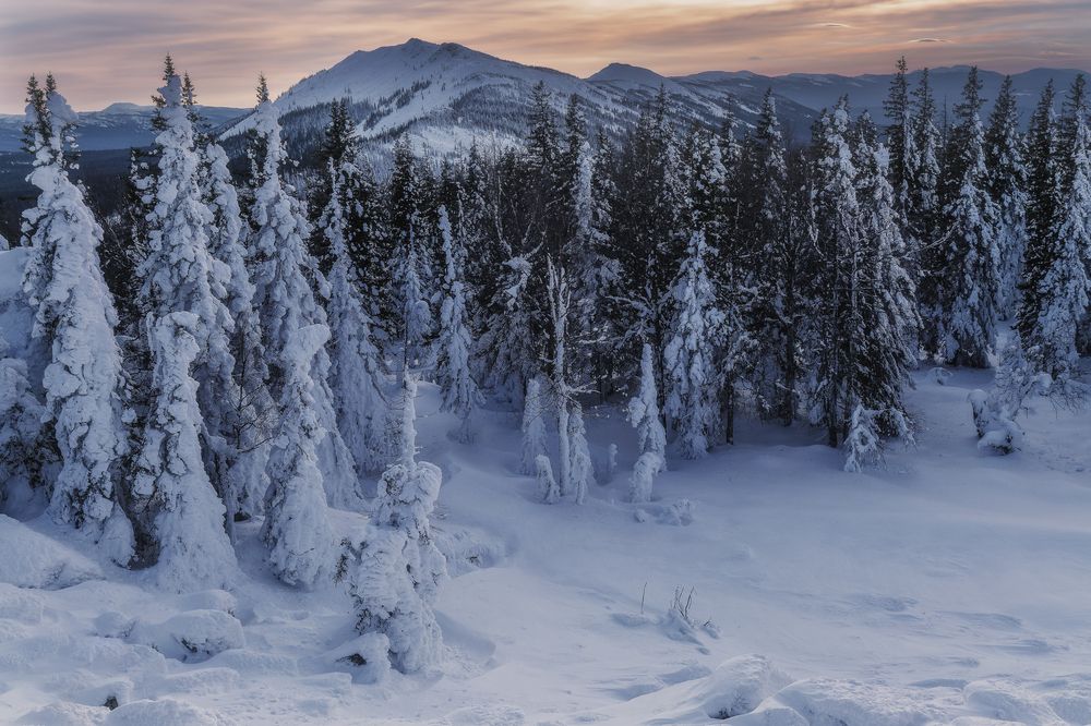 Photograph by Толстоноженко Илья