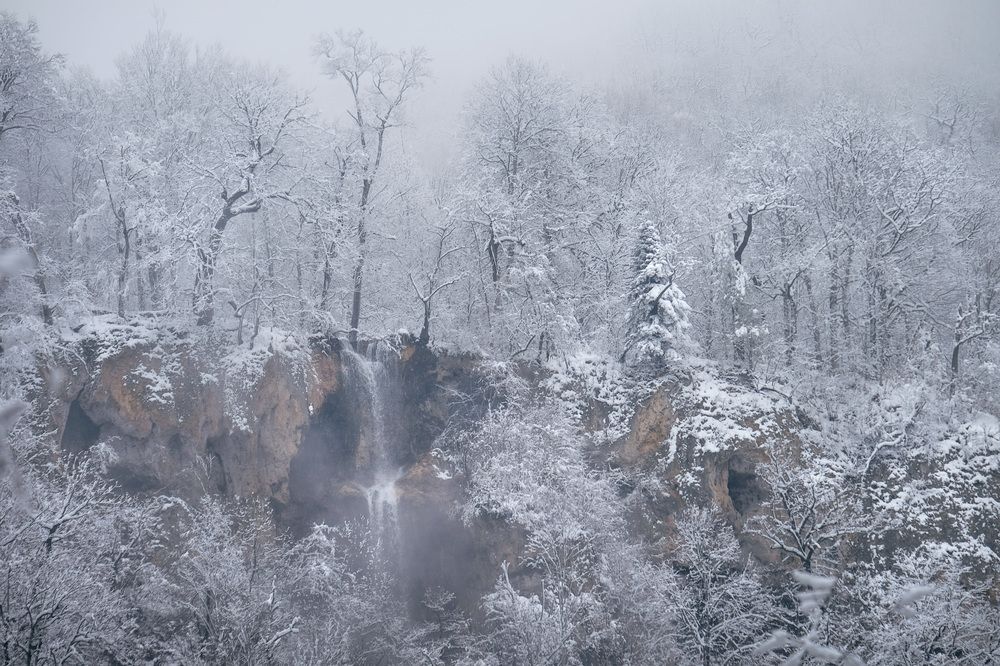 Фотография автора Алексей Бордуков