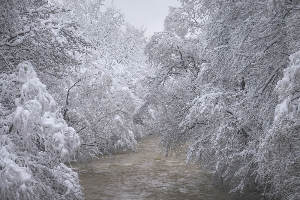 Фотография автора Алексей Бордуков