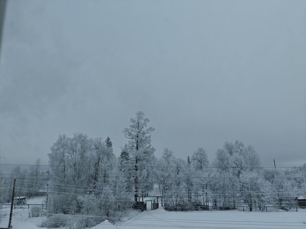 Photograph by Светлана Муравьева