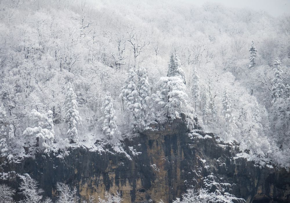 Фотография автора Алексей Бордуков